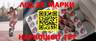 гидропоника Сланцы